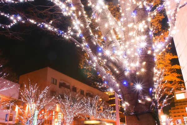 Kerstverlichting Het Nachtzicht Van Afbeelding — Stockfoto