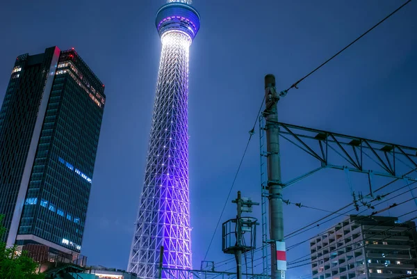 Vista Noturna Clara Até Árvore Céu Tóquio — Fotografia de Stock