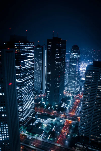 Des Gratte Ciel Vue Nocturne Vus Depuis Tokyo Metropolitan Government — Photo