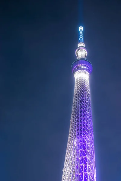 Vista Nocturna Luz Hasta Árbol Del Cielo Tokio — Foto de Stock