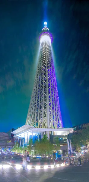 Vista Nocturna Luz Hasta Árbol Del Cielo Tokio — Foto de Stock
