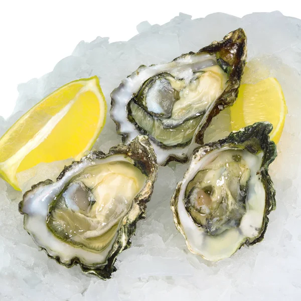 Fresh opened oysters with lemon on crushed ice — Stock Photo, Image