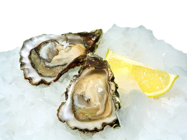 Fresh opened oysters with lemon on crushed ice — Stock Photo, Image