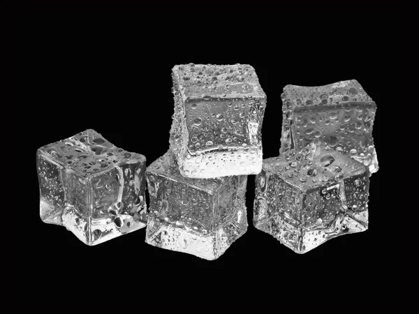Grupo de cubos de gelo molhado isolados em preto — Fotografia de Stock
