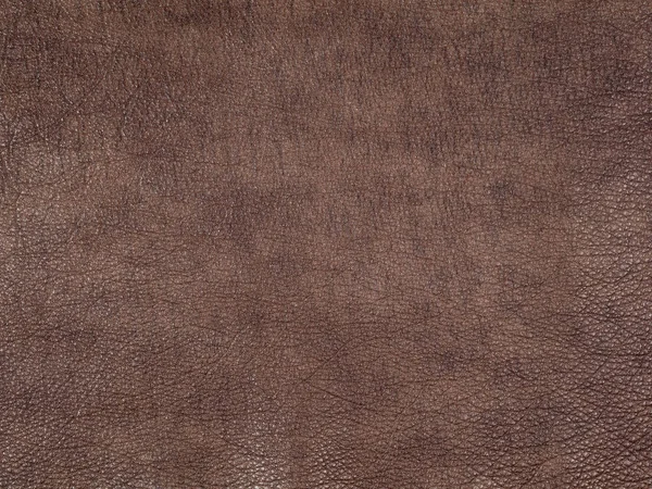 Tekstura skóry bydlęcej brązowej — Zdjęcie stockowe