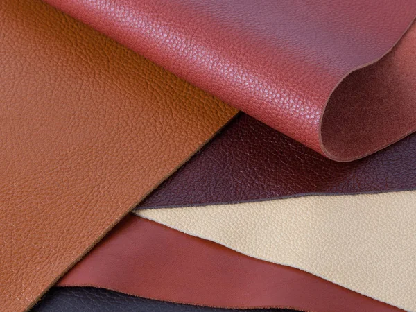 Multicolored natural leather textures samples — Stock Photo, Image
