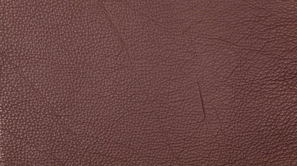 Fond texture cuir marron foncé — Photo