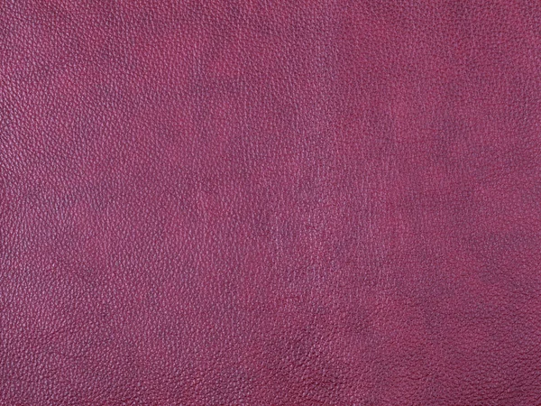 Fioletowa skóra tło tekstury — Zdjęcie stockowe