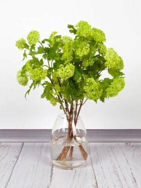 Yeşil yapraklı Viburnum dalları ve şeffaf camlı çiçekler