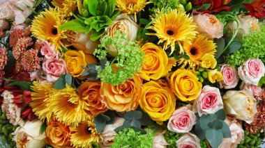 Çiçek düzenleme geçmişi güller, kasımpatı santini ve alstromerya