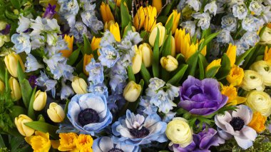 Delphinium, campanula ve laleli çiçek düzenleme arkaplanı