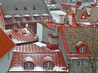 Tallinn şehir binalarının karla kaplı çatı kiremitlerinde kış manzarası
