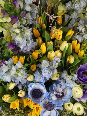 Delphinium, campanula ve laleli çiçek düzenleme arkaplanı
