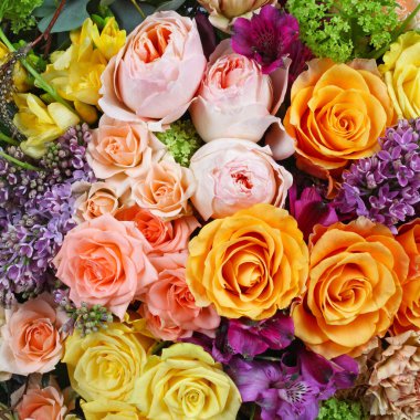 Gül, leylak ve alstromerya içeren çiçek düzenleme arka planı 