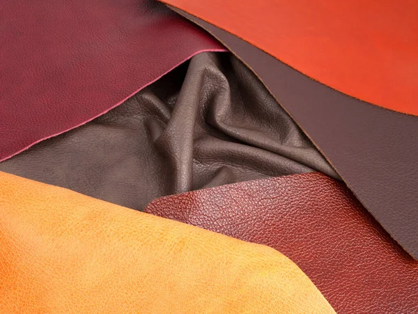 Different Colors Natural Leather Textures Samples — Stock Photo, Image
