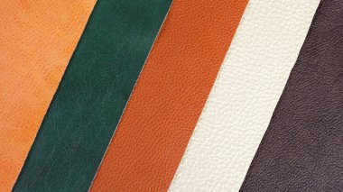 Farklı renkler, doğal deri doku örnekleri. 