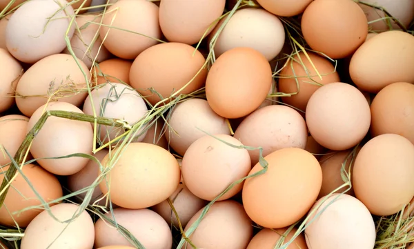 Huevos marrones orgánicos en una cesta en un mercado callejero — Foto de Stock