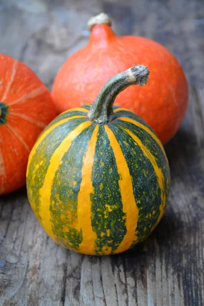 Small organic bright orange and yellow green pumpkins on wooden background — Stock Photo, Image