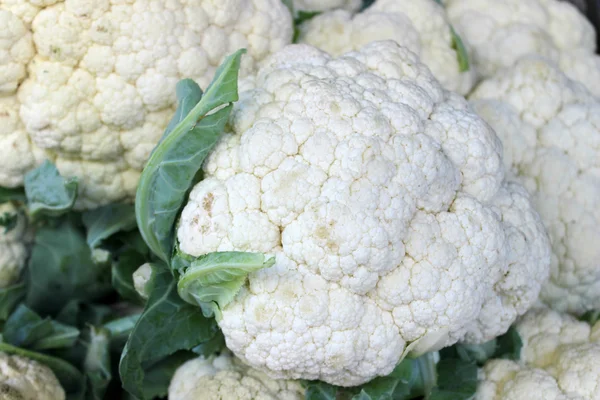 Fresh and raw white organic cauliflower on street market — Stock Photo, Image