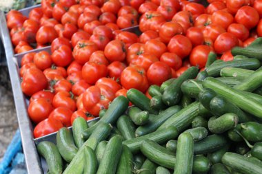 Büyük kırmızı doğal organik domates ve salatalık çiftlik Market