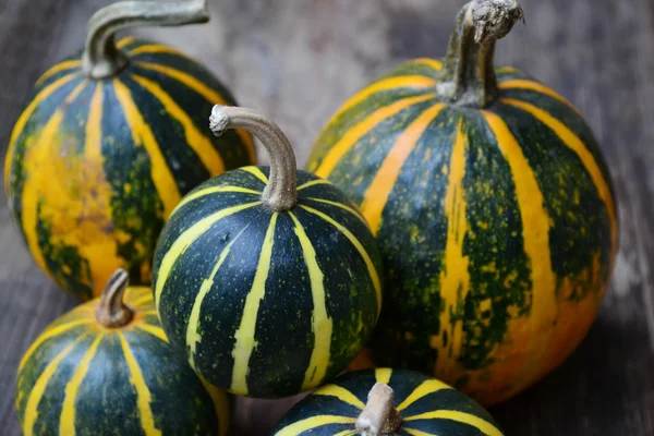 Petites citrouilles bio orange vif et vert jaune sur fond bois — Photo