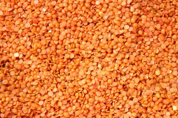 A lot of orange lentil — Stock Photo, Image