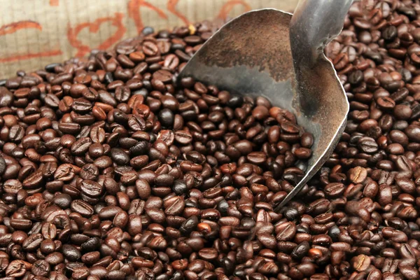 Beaucoup de grains de café torréfiés au marché de rue — Photo