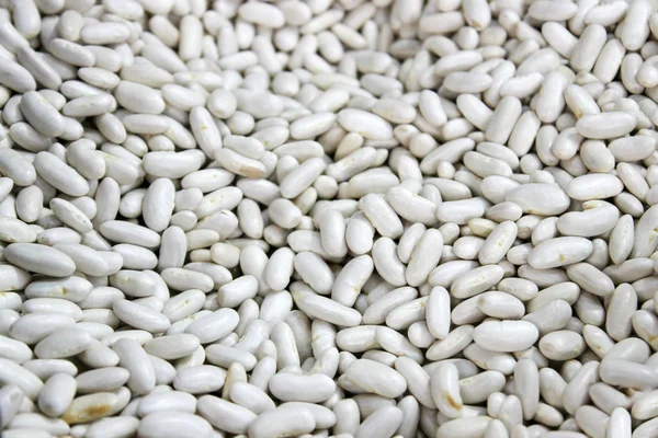 生の有機白豆のコレクション ロイヤリティフリーのストック写真