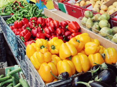 Taze ve tatlı yeşil, kırmızı ve turuncu biber çiftlik Market