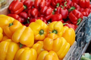 Taze ve tatlı yeşil, kırmızı ve turuncu biber çiftlik Market