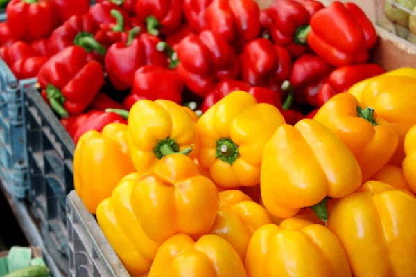 Tuoreet ja makeat vihreät, punaiset ja appelsiinit paprikat maatilan markkinoilta — kuvapankkivalokuva