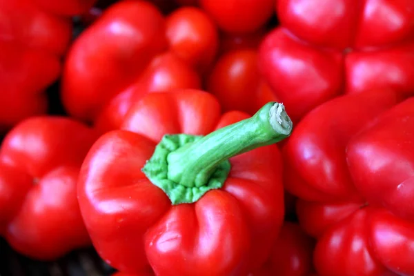 Sweet red bell peppers at the street market — Stock Photo, Image