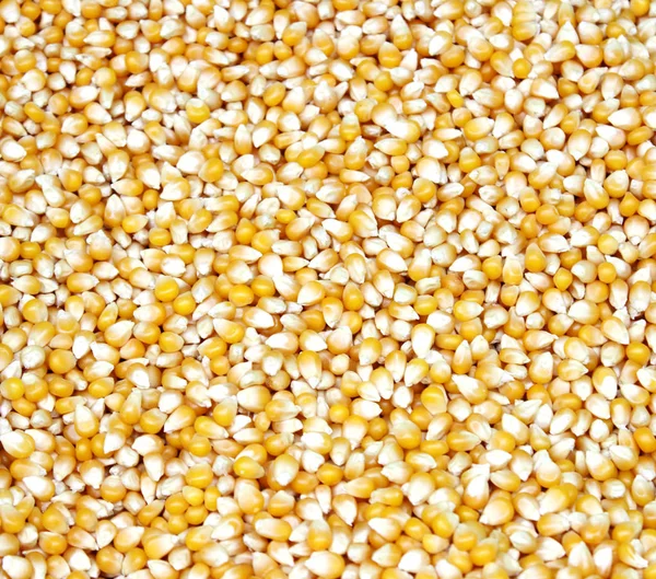 Świeża kukurydza surowego ziarna przy ulicy rynek — Zdjęcie stockowe