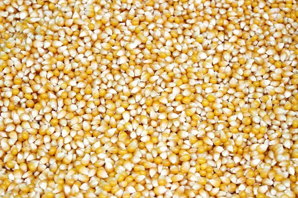 Verse rauwe mais korrels bij de straatmarkt — Stockfoto