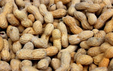 Fıstık kabukları, semt pazarı