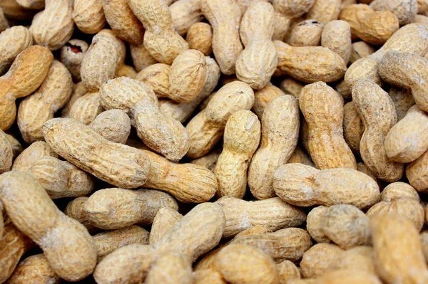Peanuts in shells at the street market