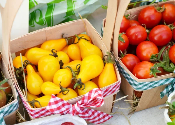 Pequeños tomates cherry orgánicos rojos, marrones y amarillos de diferentes tipos en cubos en un mercado callejero — Foto de Stock