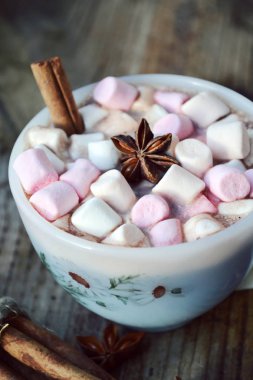 Sıcak kakao marshmallows, yıldız anason ve tarçın ile beyaz fincan