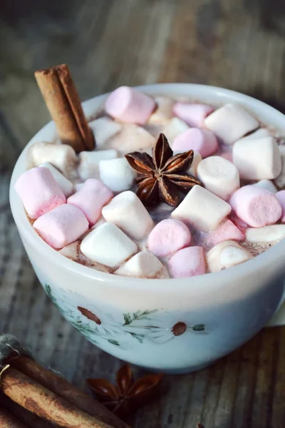 Fehér csésze forró kakaót a marshmallows, a csillagánizs, a fahéj — Stock Fotó