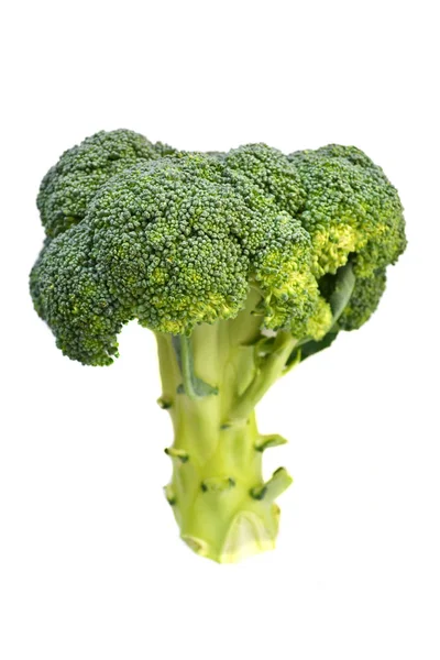 Repollo crudo y fresco de brócoli sano aislado sobre fondo blanco — Foto de Stock