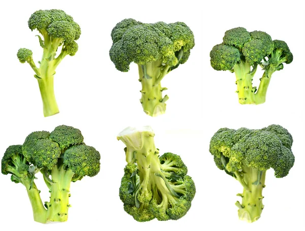 Rauwe en verse gezonde broccoli kool geïsoleerd op witte achtergrond — Stockfoto