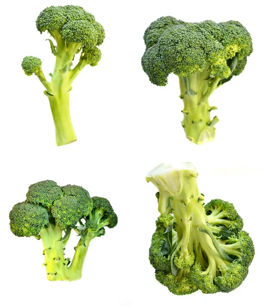 Chou brocoli cru et frais sain isolé sur fond blanc — Photo