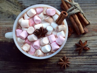 Sıcak kakao marshmallows, yıldız anason ve tarçın ile beyaz fincan