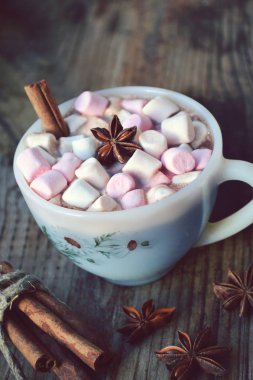 Sıcak kakao marshmallows, yıldız anason ve tarçın ile beyaz fincan