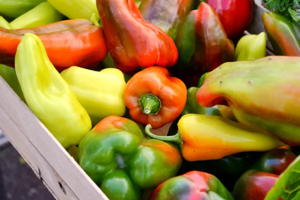Fresh and sweet green, red and orange bell peppers from the farm market — Stock Photo, Image