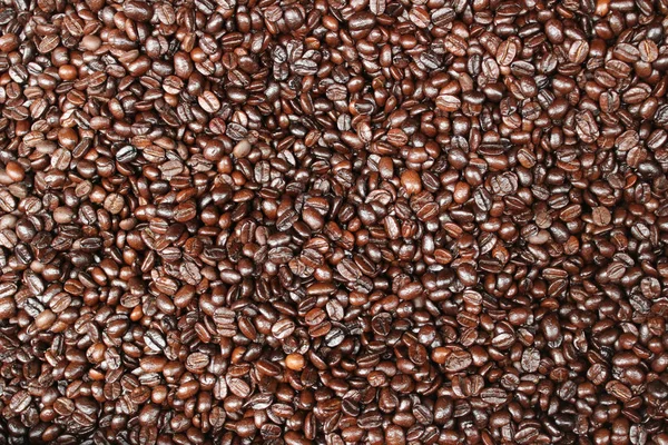 Roasted coffee beans — Stock Photo, Image