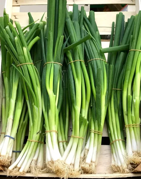 Muita cebola verde fresca no mercado de rua — Fotografia de Stock