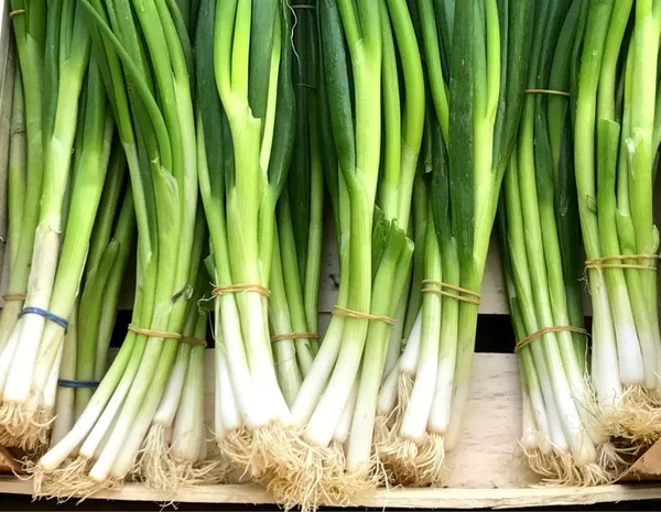 Un montón de cebolla verde fresca en el mercado callejero —  Fotos de Stock
