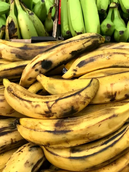 Bündel gelber und grüner Bananen im Regal — Stockfoto