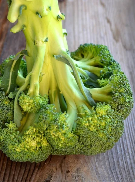 Repollo crudo y fresco de brócoli sano — Foto de Stock